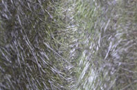 Springboig fibreglass roof work